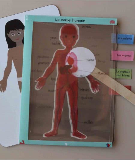 Loisirs créatifs-Kit créatif enfant "Corps humain"-L'atelier imaginaire-Mer(e)veilleuse